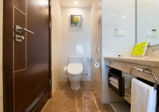 Deluxe City View King Room