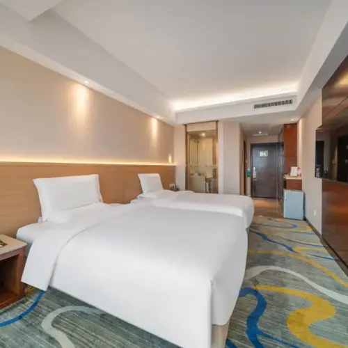 Deluxe City View Twin Room