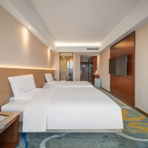 Deluxe City View Twin Room