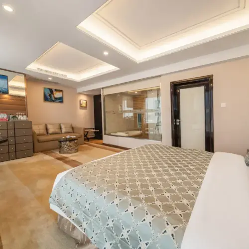 Executive Double Bed Room (Screen Projection TV + Panoramic Floor-to-Ceiling Window + Large Bathtub + Smart Toilet)
